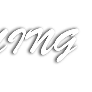 LOGO of aiming.in web site
