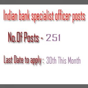 Indian bank specialist officer posts recruitment