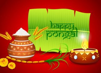 Happy Pongal Wishes 2017