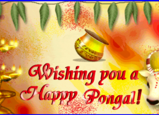 Happy Pongal wallpaper