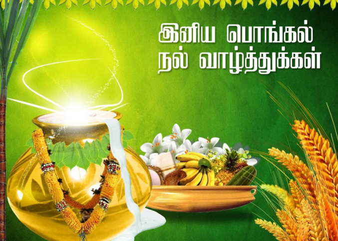 Pongal Wishes in Tamil