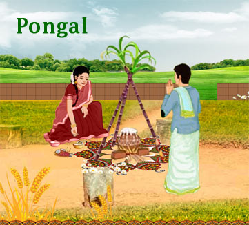 happy pongal greetings