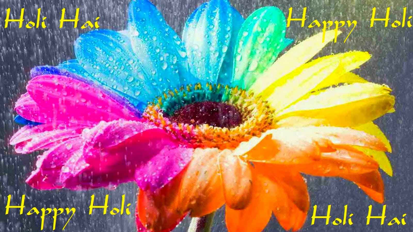 Holi Festival Wishes Images Wall Papers Sms Quotes Songs Status
