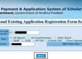 AP EPass Renewal Application 2017