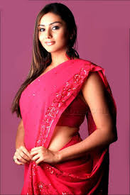 Namitha Saree Pic