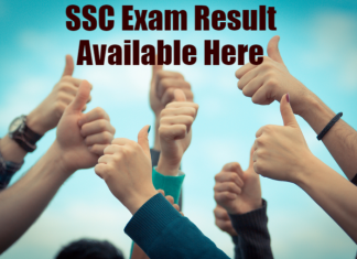 TS SSC Exam Results 2017