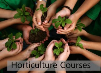 Horticulture Courses Details