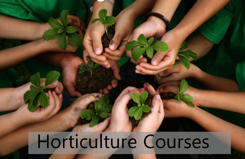 Horticulture Courses Details
