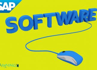 SAP-Software