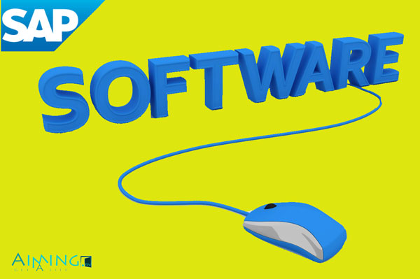 SAP-Software