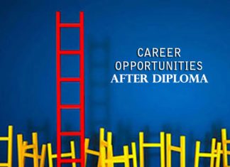 Career Opportunities After Diploma