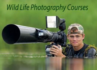Wild-Life-Photography-Courses-Details
