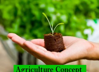 BSc Agriculture Course