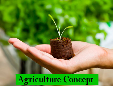 BSc Agriculture Course