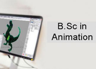 BSc Animation