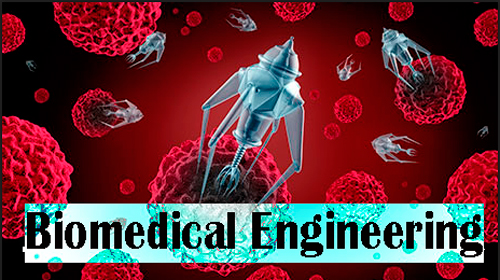Biomedical Engineering Course