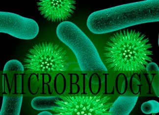 Microbiology Course Details