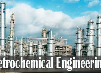 Petrochemica Engineering Course Details