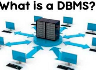 What is Data Base Management System