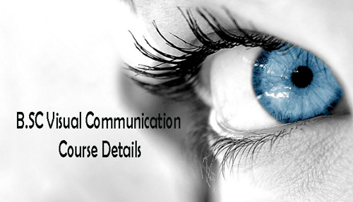 BSC Visual Communication Course Details