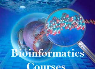 Bioinformatics Courses