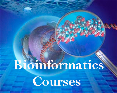 Bioinformatics Courses