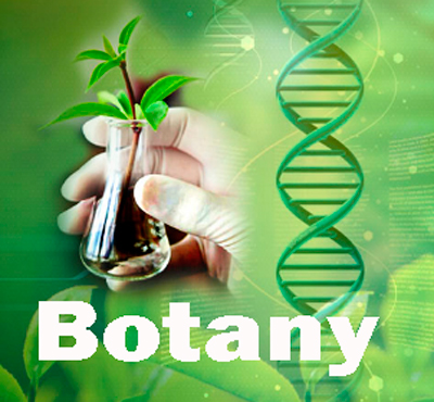 Botany Course Details