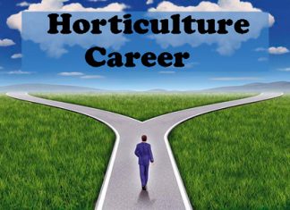 Horticulture Career