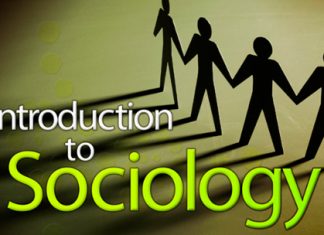 Sociology Courses Details