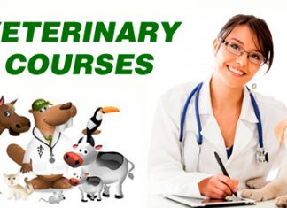 Veterinary Courses Details