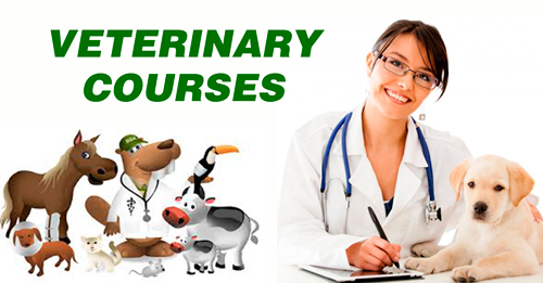 Veterinary Courses Details