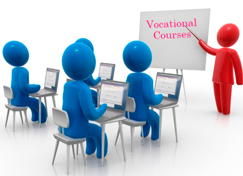 Bachelor of Vocation Courses Details