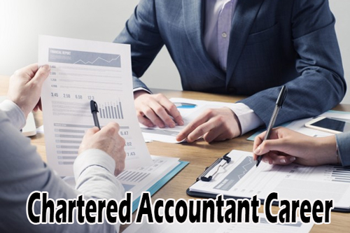 Chartered Accountant Career