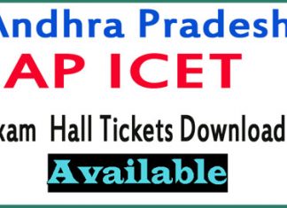 AP ICET Hall Ticket