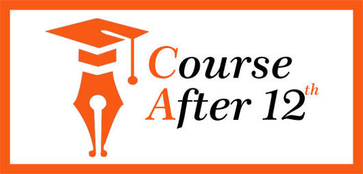 Best Career Courses after 12th